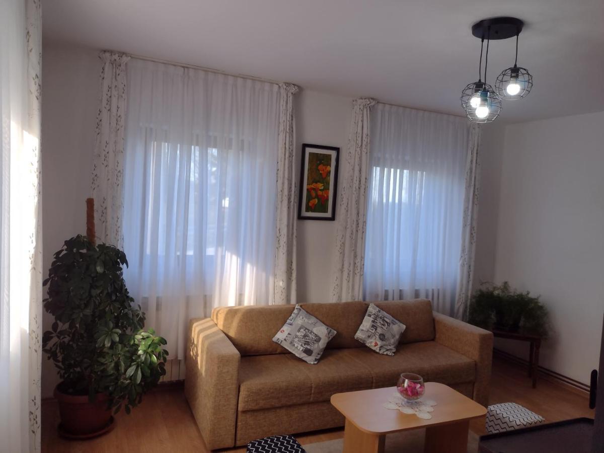 Apartment Petra I Nikola Seliste Dreznicko Exterior foto