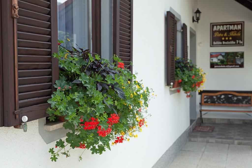 Apartment Petra I Nikola Seliste Dreznicko Exterior foto